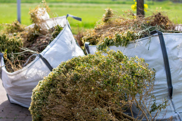 Best Property Management Cleanouts  in Okemos, MI